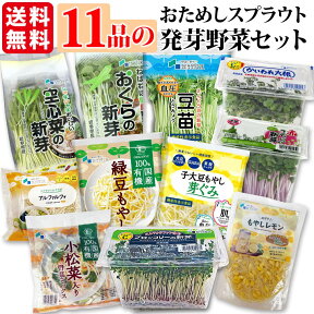 発芽 野菜セット スプラウト お試し 11品 機能性表示食品 子大豆もやし 豆苗 ブロッコリー 新芽 もやしレモン アルファルファ 赤ラディッシュ 空心菜 おくら 有機野菜ミックス 緑豆もやし かいわれ | 送料無料 ミールキット カット野菜 野菜ギフト ソイ プロテイン sprout /