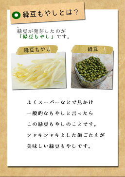 オーガニック (有機) 緑豆もやし 200g入り 1袋