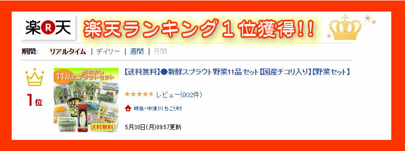 発芽野菜 スプラウト お試し 11品 セット / 国産 チコリ 豆苗 とうみょう ブロッコリー の新芽 もやしレモン アルファルファ 赤ラディッシュの新芽 空心菜 の新芽 おくらの新芽 など 野菜セット / 送料無料 観光地応援 お取り寄せグルメ