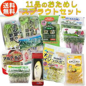 発芽野菜(スプラウト)お試し11品セット【国産チコリ入り】【野菜セット】【発芽野菜】【スプラウト】【送料無料】