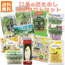 野菜セット お試し 11品 送料無料 / 機能性表示食品 子大豆もやし 国産チコリ ブロッコリーの新芽 豆苗 もやしレモン おくら の新芽 空心菜 の新芽 かいわれ大根 赤ラディッシュの新芽 アルファルファ 根取りもやし /話題の 発芽野菜 スプラウト 詰め合わせ ミールキット /
