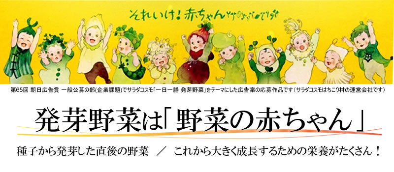 発芽 野菜セット スプラウト お試し 11品 機能性表示食品 子大豆もやし 豆苗 ブロッコリー 新芽 もやしレモン アルファルファ 赤ラディッシュ 空心菜 おくら 有機野菜ミックス 緑豆もやし かいわれ | 送料無料 ミールキット カット野菜 野菜ギフト ソイ プロテイン sprout / 2