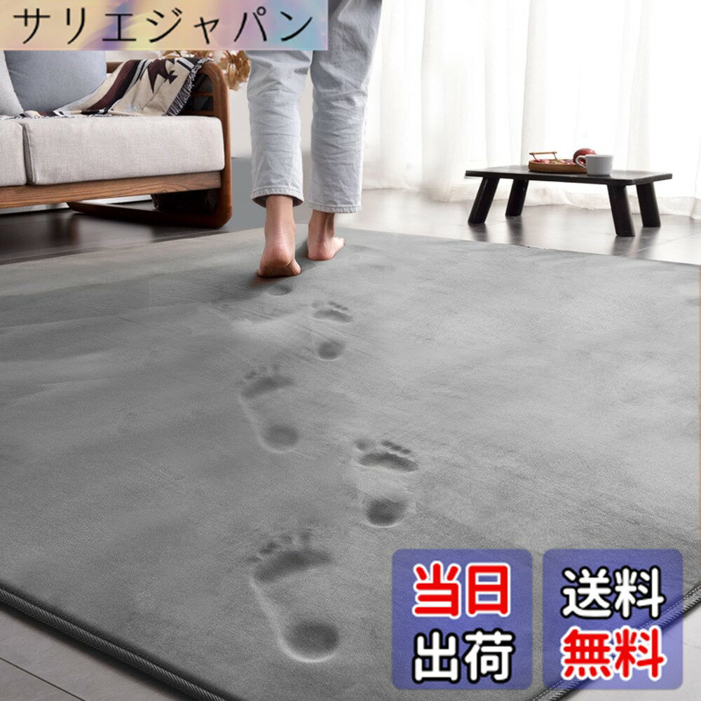 Accord - 【送料無料】aicomri ラグ カーペット ラグマット 2畳 低反発 厚手15mm 185x185cm 洗える ホットカーペットカバー 床暖房ホットカーペット対応 滑り止め付 防ダニ 抗菌 撥水加工 厚い フランネル ウレタン じゅうたん 無地・グレー