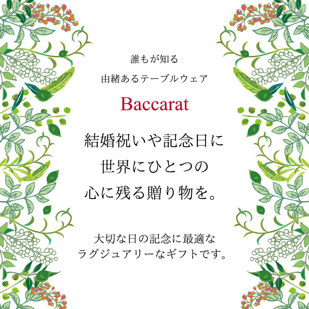 ＼名入れ・送料無料／ バカラ ペアグラス 【Baccarat】 クリスタ2022 タンブラー ペア 送料無料 名入れギフト 名入れ おしゃれ 無料 食器 記念品 還暦 退職祝い 引越し祝い 結婚祝い ペア ロックグラス 内祝い グラスギフト プレゼント お返し 名入れ無料