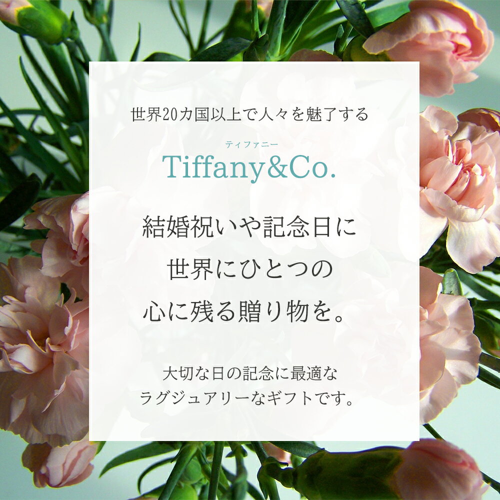 ＼名入れ・送料無料／ Tiffany&Co. ティファニー 白 ワイン グラスセット プレゼント 名入れギフト 名入れ無料 記念品 結婚祝い 結婚記念日 引越し祝い 新築祝い ロックグラス 内祝い 古希 食器 誕生日 名前入り クリスマス プレゼント 名入れ