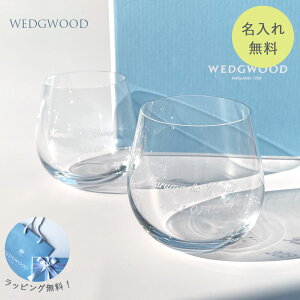 グラス 名入れ 【WEDGWOOD】 ウェッジウッド グローブ タンブラー ペア グラス 記念品 退職祝い 引越し祝い 贈り物 プレゼント 名入れギフト 内祝い