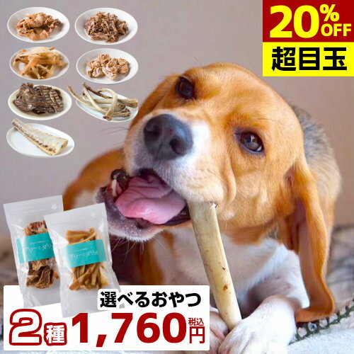 【20%OFF タイムセール】犬 おやつ 無添加 国産 お試し (2種) 初回限定 犬用 アレルギー オヤツ 骨 ジャーキー ガム 豚耳 ささみ 軟骨 口臭 歯石除去 グレインフリー 小型犬 中型犬 大型犬 サリダリ 楽天スーパーSALE