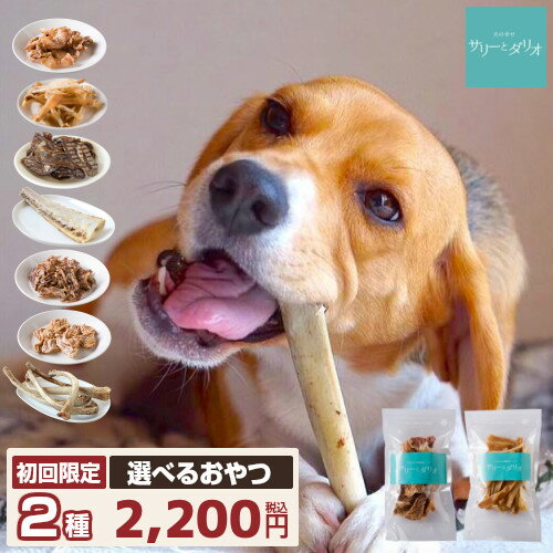 犬 おやつ 無添加 国産 お試し (2種) 初回限定 犬用