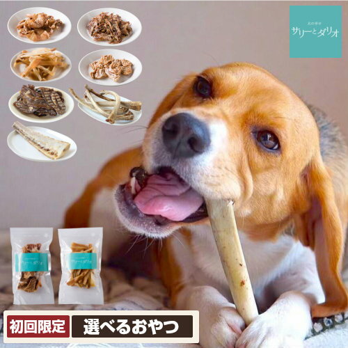 犬 おやつ 無添加 国産 お試し (2種) 初回限定 犬用 アレルギー オヤツ 骨 ジャーキー ガム 豚耳 ささみ 軟骨 口臭 歯石除去 グレインフリー 小型犬 中型犬 大型犬 老犬 サリダリ