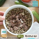 【5%クーポンお買い物マラソン】犬 腎臓 ウェット 低リン 牛ハツ ミンチ レトルト (10袋) 腎臓ケア 腎臓病 低脂肪 ウェットフード パウチ トッピング 牛はつ 牛肉 心臓 柔らかいご飯 食べむら 手作り食 ドッグフード 老犬 シニア 介護食 療法食 サリダリ