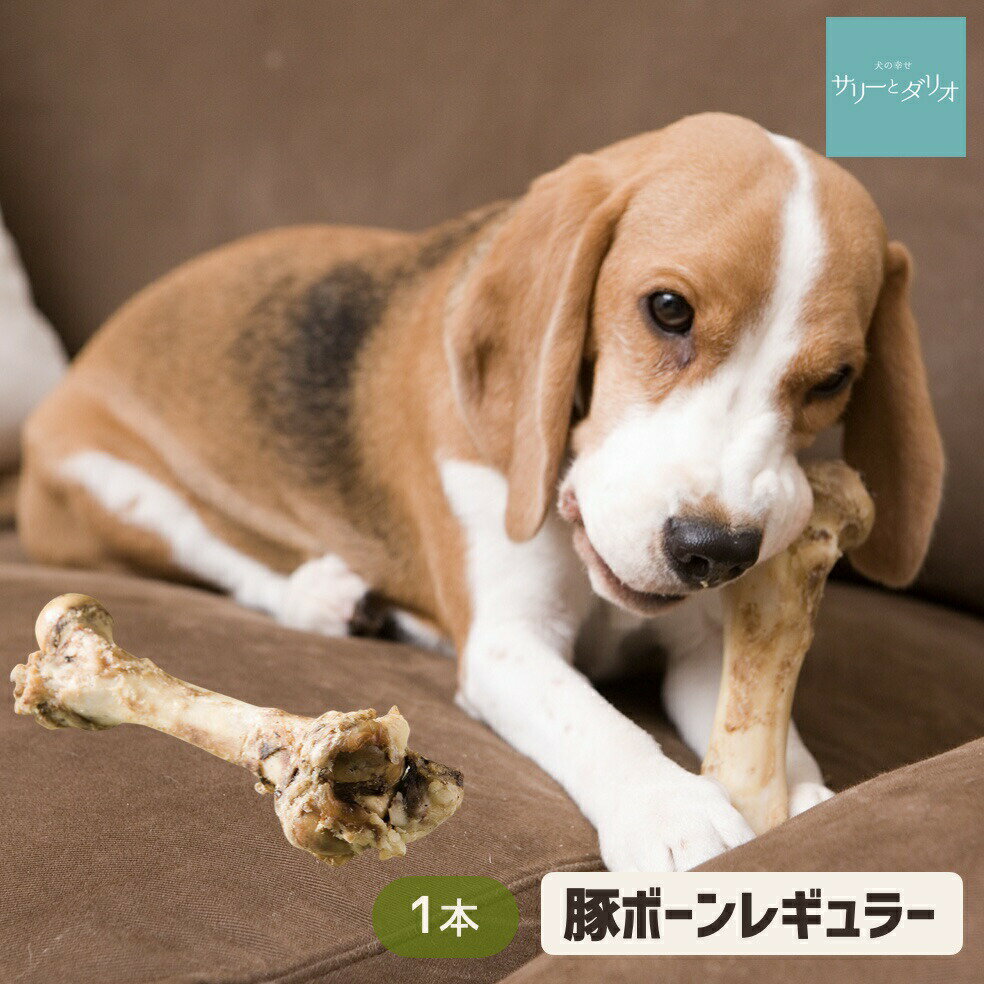 【5%クーポンお買い物マラソン】犬 