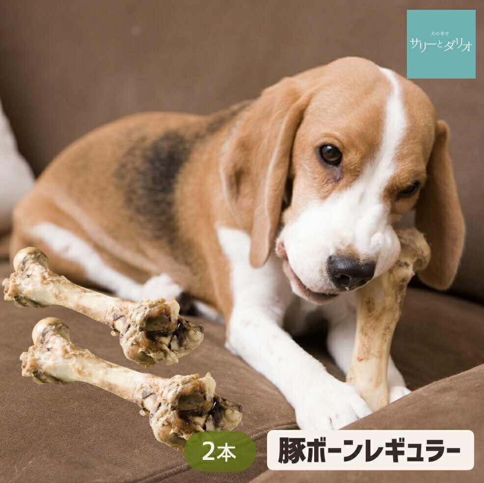 【6%クーポン 楽天スーパーSALE】犬 