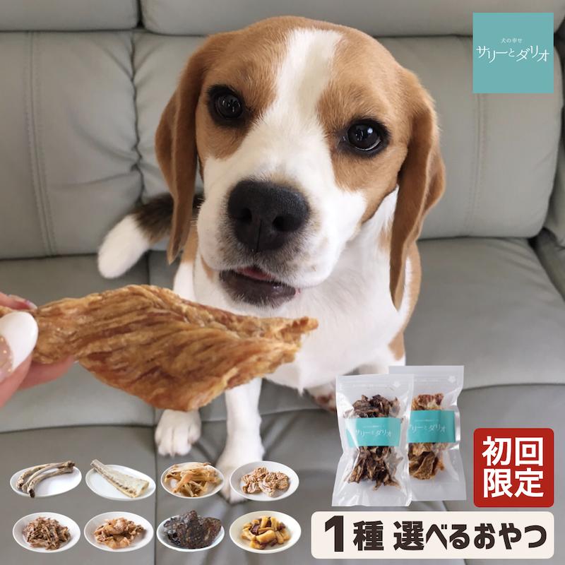 【5%クーポンお買い物マラソン】犬 おやつ 無添加 国産 初回限定 お試し 選べる1種 歯磨きおやつ 歯石除去 歯石ケア 骨 ジャーキー ささみ 豚耳 軟骨 レバー 薩摩芋 ドッグフード 小型犬 中型犬 大型犬 サリダリ