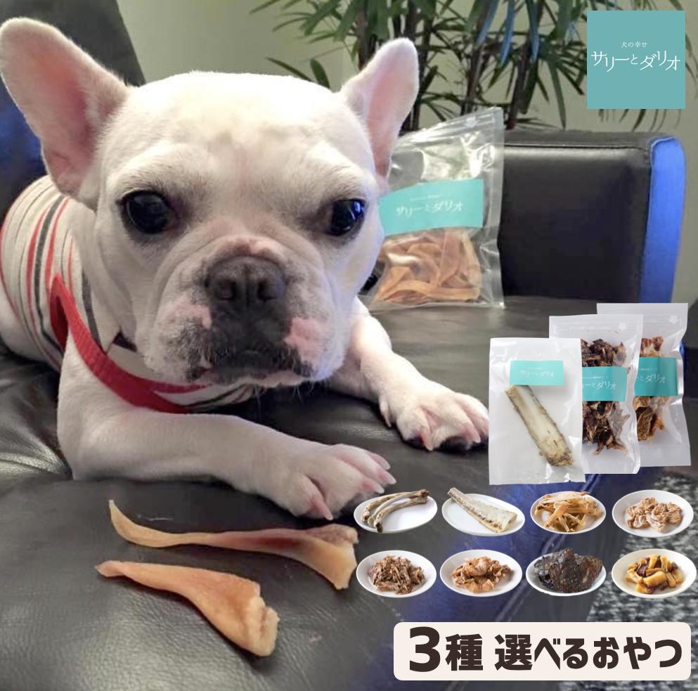 【代引き不可】＜メール便送料無料＞犬 おやつ【無添加】天然 乾燥 サメ軟骨(ヨシキリザメ中骨) お試し50g 鮫 さめなんこつ グルコサミン コンドロイチン【DBP】