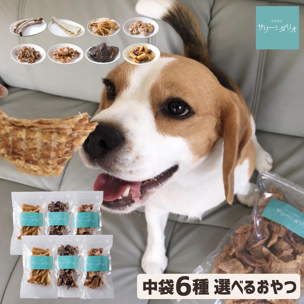 【6%クーポン 楽天スーパーSALE】犬 