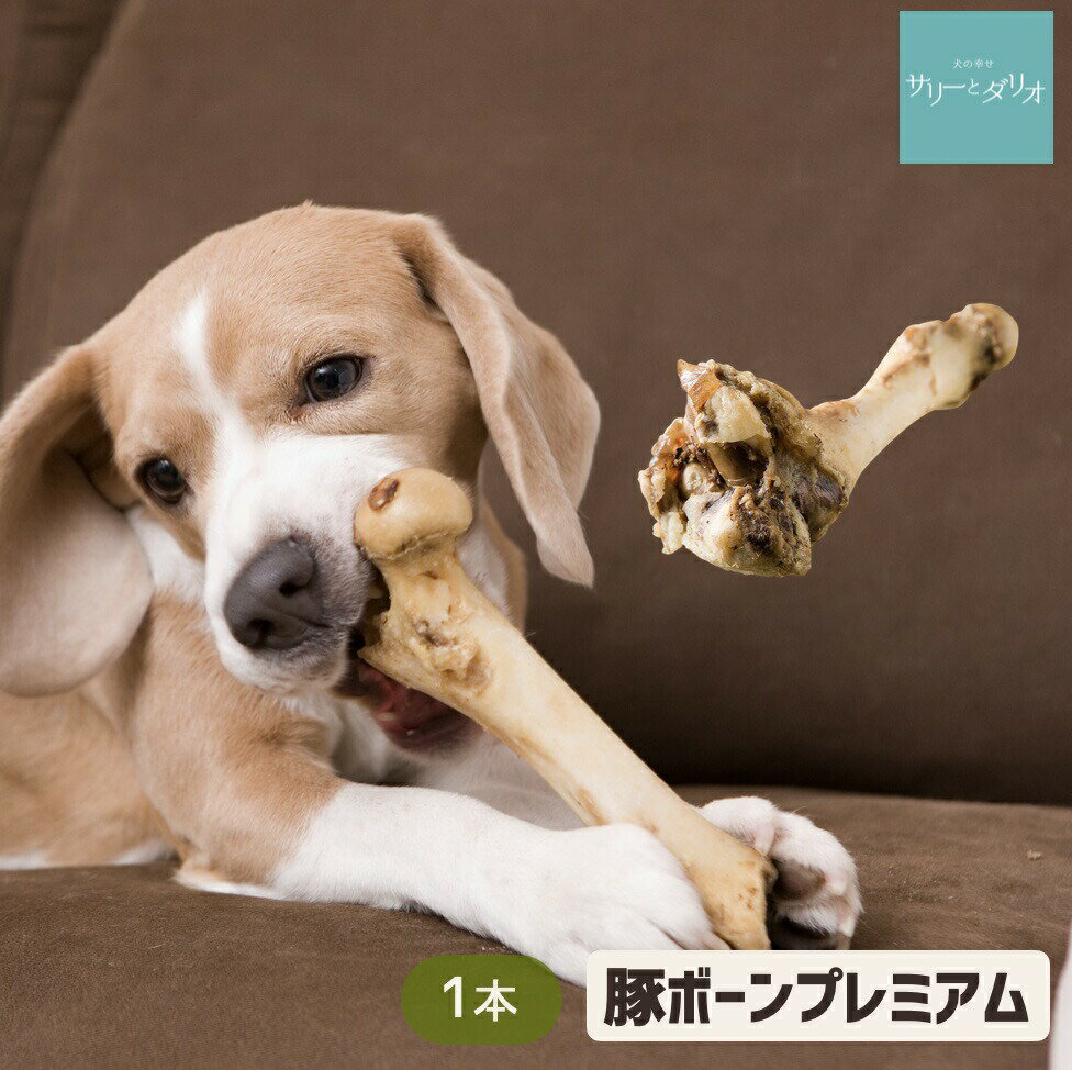 犬 おやつ 無添加 国産 プレミアム豚ボーン 1本 おもちゃ 歯石除去 歯石取り 歯磨き 口臭 デン ...