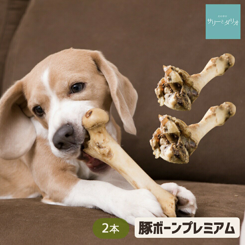 犬 おやつ 無添加 国産 プレミアム豚ボーン 2本 硬い おやつ 長持ち おもちゃ 歯石除去 歯石取り 歯磨き 口臭 デンタルケア 大きい骨 ストレス発散 豚骨 豚の骨 小型犬 中型犬 大型犬 超大型犬 サリダリ
