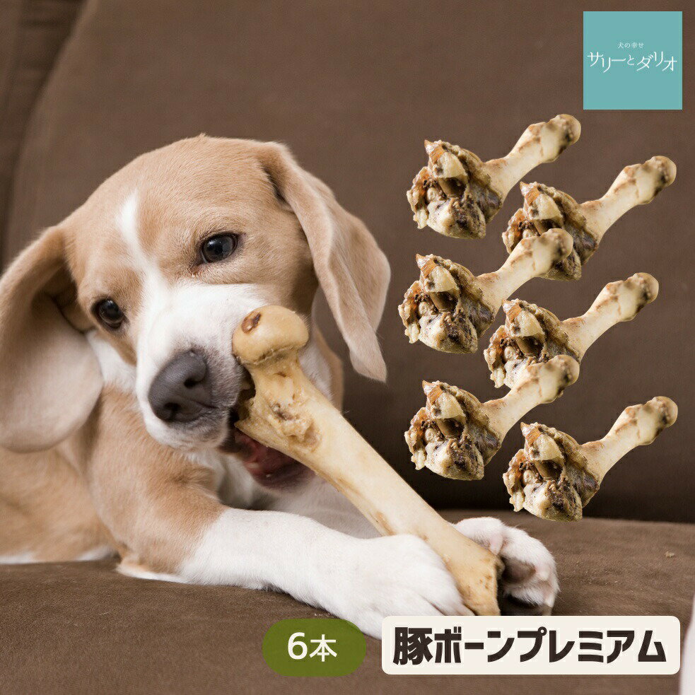 【5%クーポン20日限定】犬 おやつ 無添加 国産 プレミアム豚ボーン 6本 おもちゃ 歯石除去 歯石取り 歯磨き 口臭 デンタルケア 大きい骨 硬い骨 ストレス発散 豚骨 豚の骨 小型犬 中型犬 大型犬 超大型犬 サリダリ