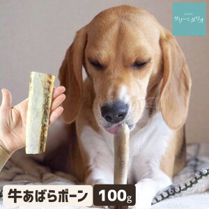 犬 おやつ 無添加 国産 牛あばらボーン 100g アレルギー 歯石除去 口臭 ストレス発散 グレインフリー 硬い 大きい 骨 あばら骨 ガム ドッグフード 小型犬 中型犬 大型犬 サリダリ