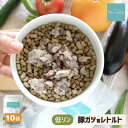 【5%OFFタイムセール】犬 腎臓 ウェット 低リン 豚ガツ ミンチ レトルト (10袋) 腎臓ケア 腎臓病 低脂肪 ウェットフード パウチ トッピング 豚肉 豚胃 ガツ 柔らかいご飯 食べむら 手作り食 ドッグフード 老犬 シニア 介護食 療法食 サリダリ