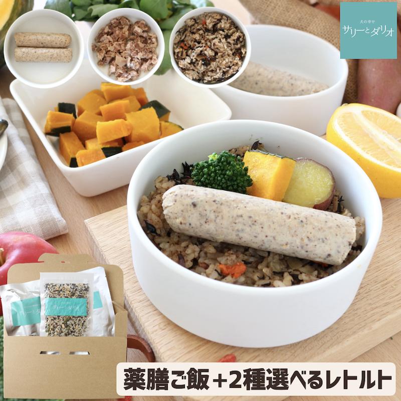 【ブラックフライデー★クーポン配布中】犬 ドッグフード 無添加 国産 薬膳ご飯 レトルトセット【選べる2種】手作りご飯キット 初めての手作り レトルト パウチ ...