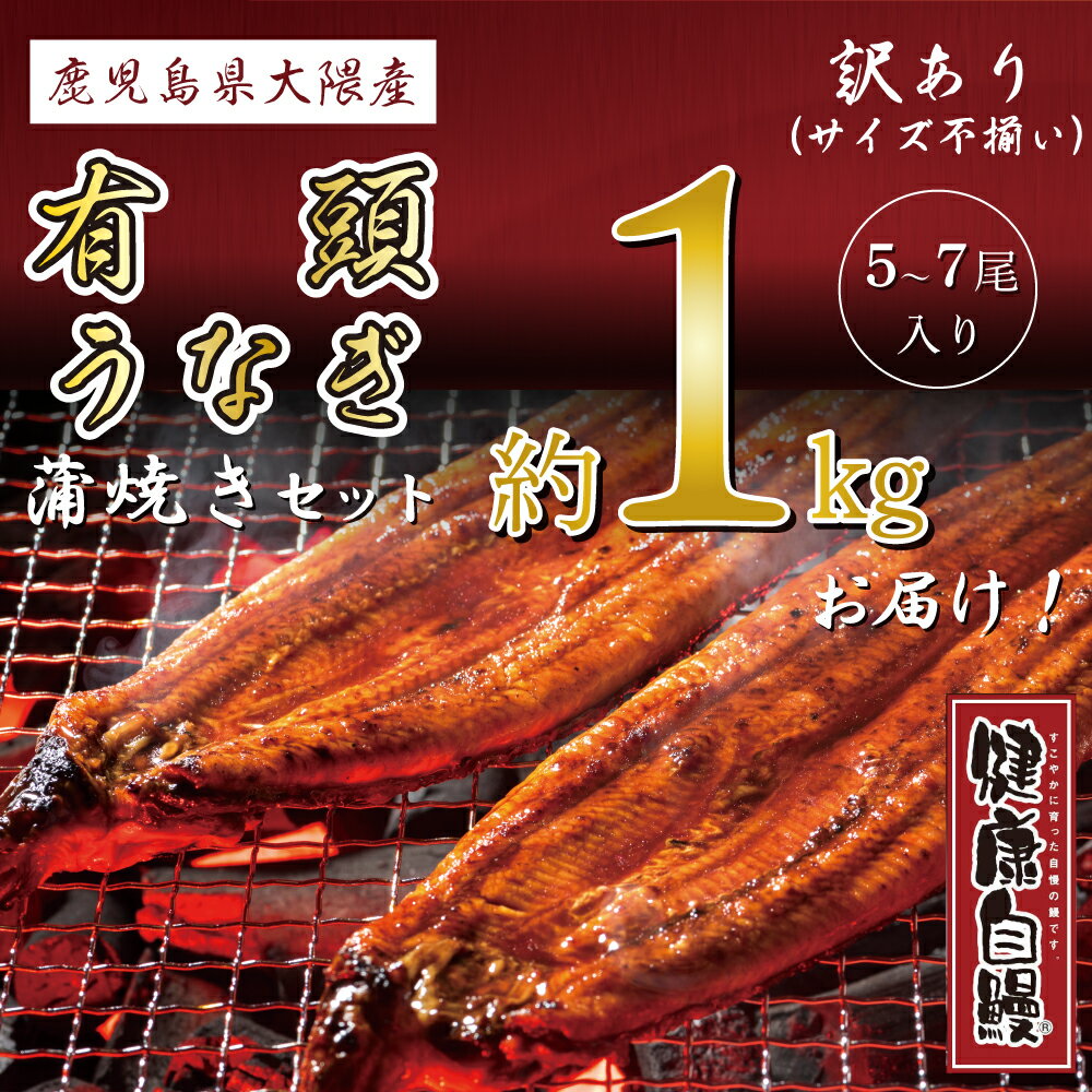 父の日ギフトにも【サイズ訳あり国産有頭うなぎ蒲焼き約1kg】5尾から7尾入り【送料無料】 国内産 鹿児島県大隅産 健康自鰻 ウナギ 鰻蒲焼 お取り寄せグルメ ふんわりと焼き上げた【今なら蒲焼のタレをプレゼント！】土用丑の日 美味しい 母の日 父の日