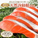 送料無料【無添加 天然汐紅鮭姿切 半身1枚】甘塩鮭 懐かしい味 お取り寄せ 紅鮭 甘塩紅鮭 鮭切り身 魚 塩焼き ご飯のお供 お弁当 酒のつまみ 切り身 美味し...