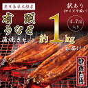 \新物入荷しました/サイズ訳あり国産有頭うなぎ蒲焼き約1kg】4尾から7尾入り【送料無料】 国内産 鹿児島県大隅産 健康自鰻 ウナギ 鰻蒲焼 お取り寄せグルメ ...