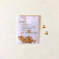パリからのアイロンシール小チェリーさくらんぼボンポワンかわいいキラキラ幼稚園ハンドメイドワッペンアップリケ小学校アイロンシート