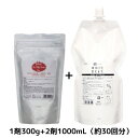 イリヤ ビビッド ホイップ ハイブリーチ セット(1剤300g+2剤1000ml)サロン専売品 業務用 ホイップクリーム ブリーチ ムラなく脱色×高いケア性 大...