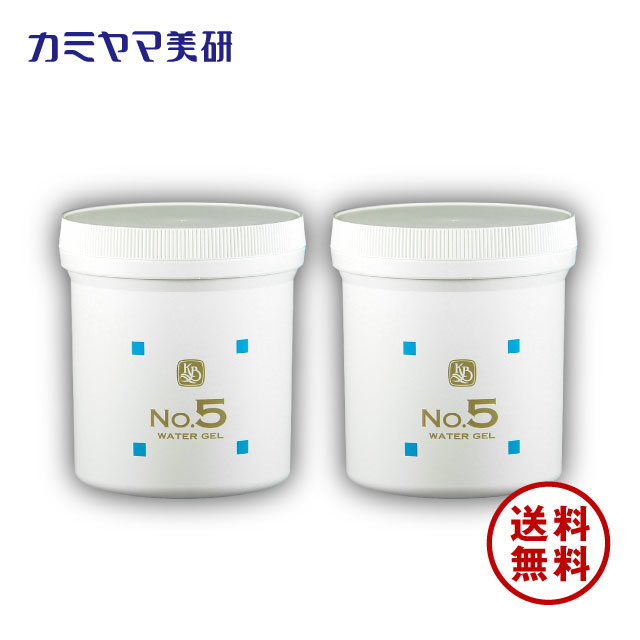 【在庫あり】No.5・保湿パック・500g（2個セット）【カミヤマ美研】【顔を洗う水シリーズ】