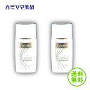 【在庫あり】ケセラUVプロテクター(2本セット)【カミヤマ美研】