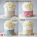 【送料無料】 おむつケーキ リバティ 7色 オーガニック 出産祝い 男の子 女の子 おしゃれ かわいい 出産 ママ ベビーシャワー ダイパーケーキ ピンク ブル...