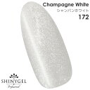 SHINYGEL Professional：カラージェル 172／シャンパンホワイト 4g （シャイニージェルプロフェッショナル）［UV/LED対応○］（JNA検定対応）