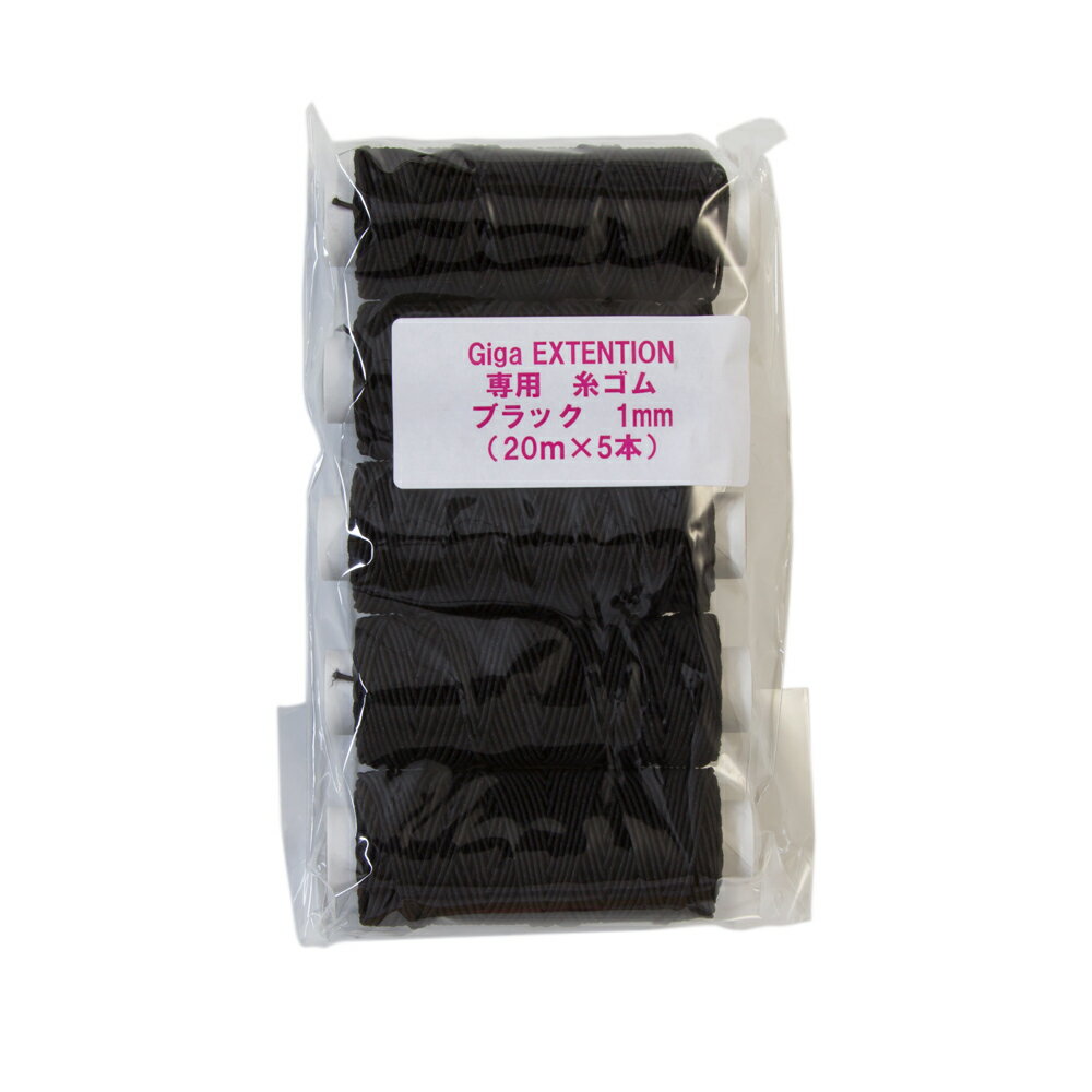 ��GIGA �إ��������ƥ󥷥�����ѻ奴�� 5����