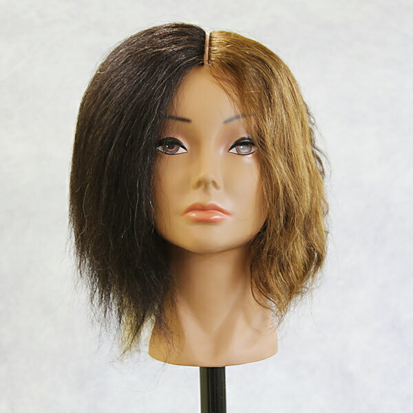 ●Cut Wig カットウィッグ 2022B フォーカラー