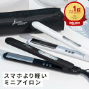 【家電ランキング第1位】ヘアアイロン ミニ 携帯用 ポーチ 付き ストレート 機内持ち込み SALONMOON サロンムーン ミラーチタニウム ストレートアイロン ミニヘアアイロン カール 2WAY 前髪用 海外対応