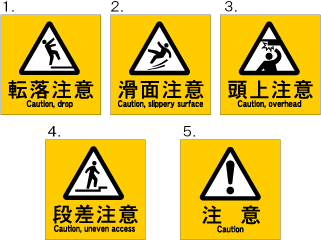 ������ɽ���ץԥ��ȥ����󡦥����ʣ���ĥ����סʥ�������W200��H200mm�ˡ�®ã�����ͥ��᡼�����б���