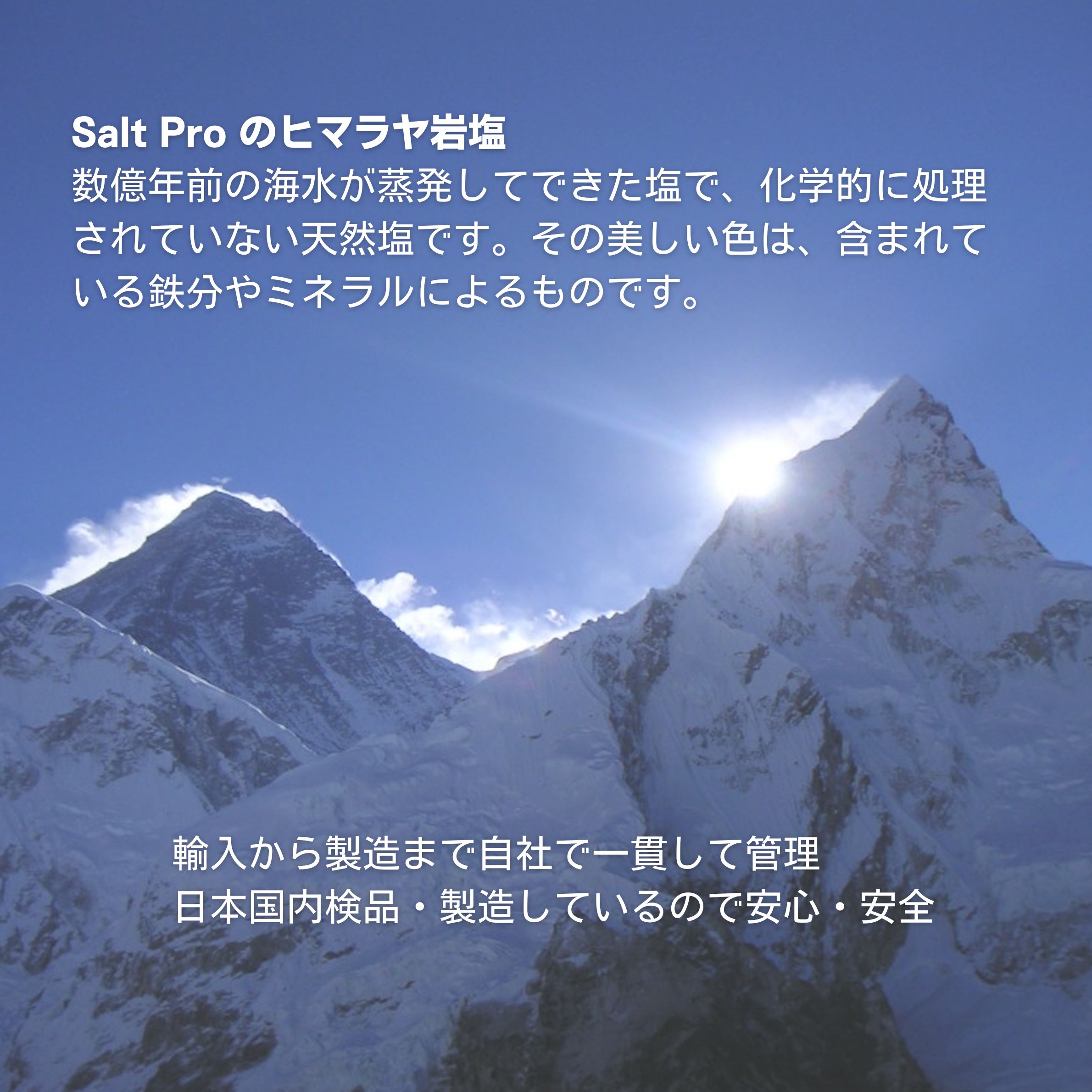Natural Beauty LabのSalt Proヒマラヤ岩塩　プレートタイプMサイズ 5枚セット｜アングル3