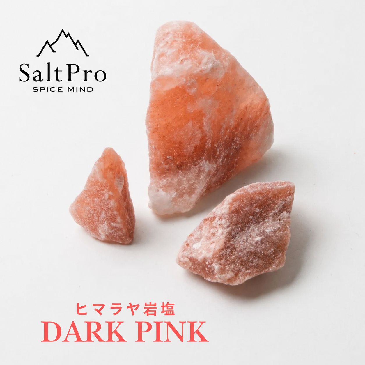 Salt Pro ヒマラヤ岩塩 ダークピンク ブロック 2kg 4kg 10kg