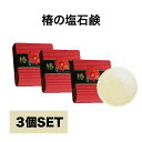 【3個セット】 送料無料 パラシュート型泡立てネット付 椿の塩石鹸 80g 洗顔石鹸 男性 メンズ オーガニック メンズ しっとり 塩石せっけん 低刺激 洗顔石...