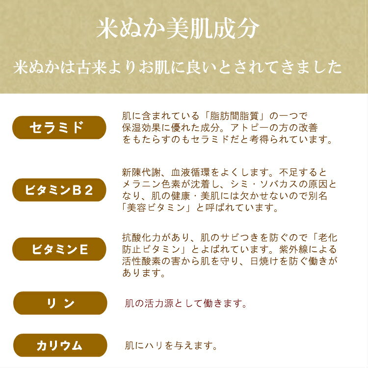 米ぬか酵素洗顔クレンジング 詰め替えセット 米ぬか酵素クレンジング 米ぬか酵素 毛穴洗顔 100%無添加 完全無添加 オーガニック 天然 おすすめ みんなでみらいを ニキビ 洗顔 オイリー肌 乾燥肌 敏感肌 米糠酵素 お肌ツルツル しっとり 保湿 美肌 ギフト プレゼント