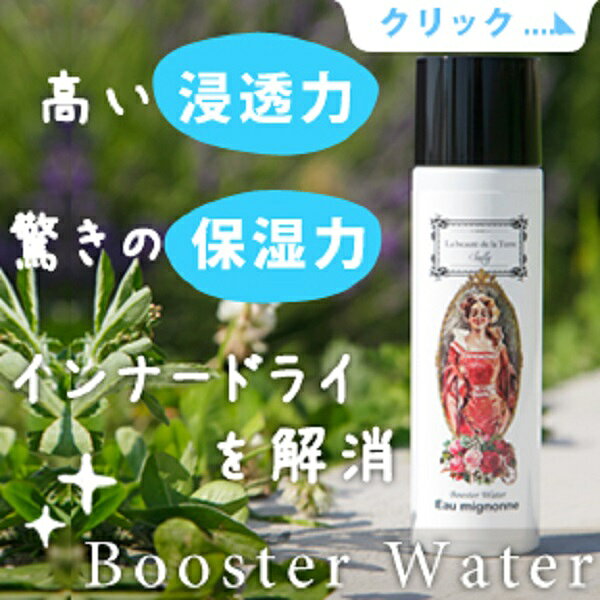 導入化粧水 ブースター ウォーター・ふきとり化粧水 無添加Booster Water 120ml オゥミニョンヌ　ケイ素 シリカ アミノ酸 界面活性剤不使用 ギフト プレゼント 美肌 saly-10000000 自然派コスメ オゥミニョンヌ サンプル画像2
