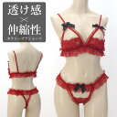 セクシー ランジェリー ブラ ショーツ 上下セット 勝負下着 過激 ルームウェア ビキニ ハロウィン コスプレ sexy 穴あき オープン 丸見え 丸出し レース フリル