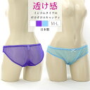 【メール便送料無料】ラポーム La-Pomme ラ・ポーム セクシー ランジェリー ショーツ 勝負下着 過激 パンツ パンティ ルームウェア ハロウィン コスプレ sexy 日本製 フルバック M L スキャンティ ロリパン インゴム シースルー スケスケ 全3色 114033(4)