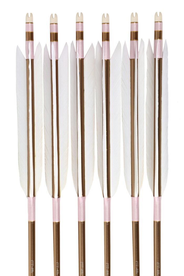 ターキー 白羽 1913シャフト 6本組 【D-1689】