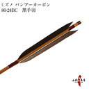 弓道 矢 ミズノ バンブーカーボン黒手羽 ハギ糸茶SST80