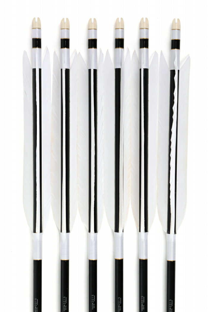 ターキー 白羽 2015シャフト 6本組 【D-1697】