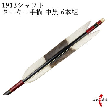 ターキー手描　中黒　1913シャフト　6本組　イーストン 黒シャフト 推奨弓力10kg〜13kg 送料無料　【D-1734】