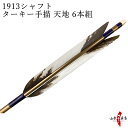 ターキー手描 天地 1913シャフト 6本組 イーストン 茶シャフト 推奨弓力10kg～13kg 送料無料 【D-1736】